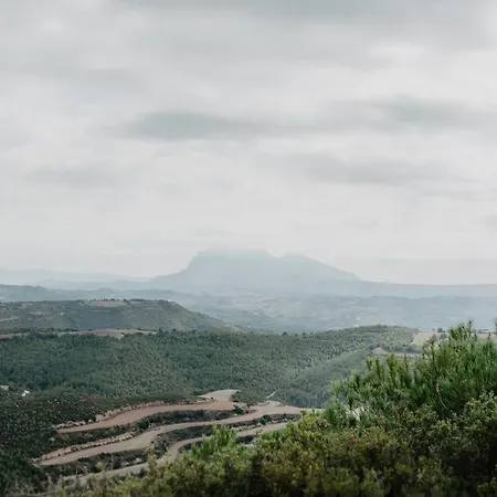 Caelus Masia Boutique Country house